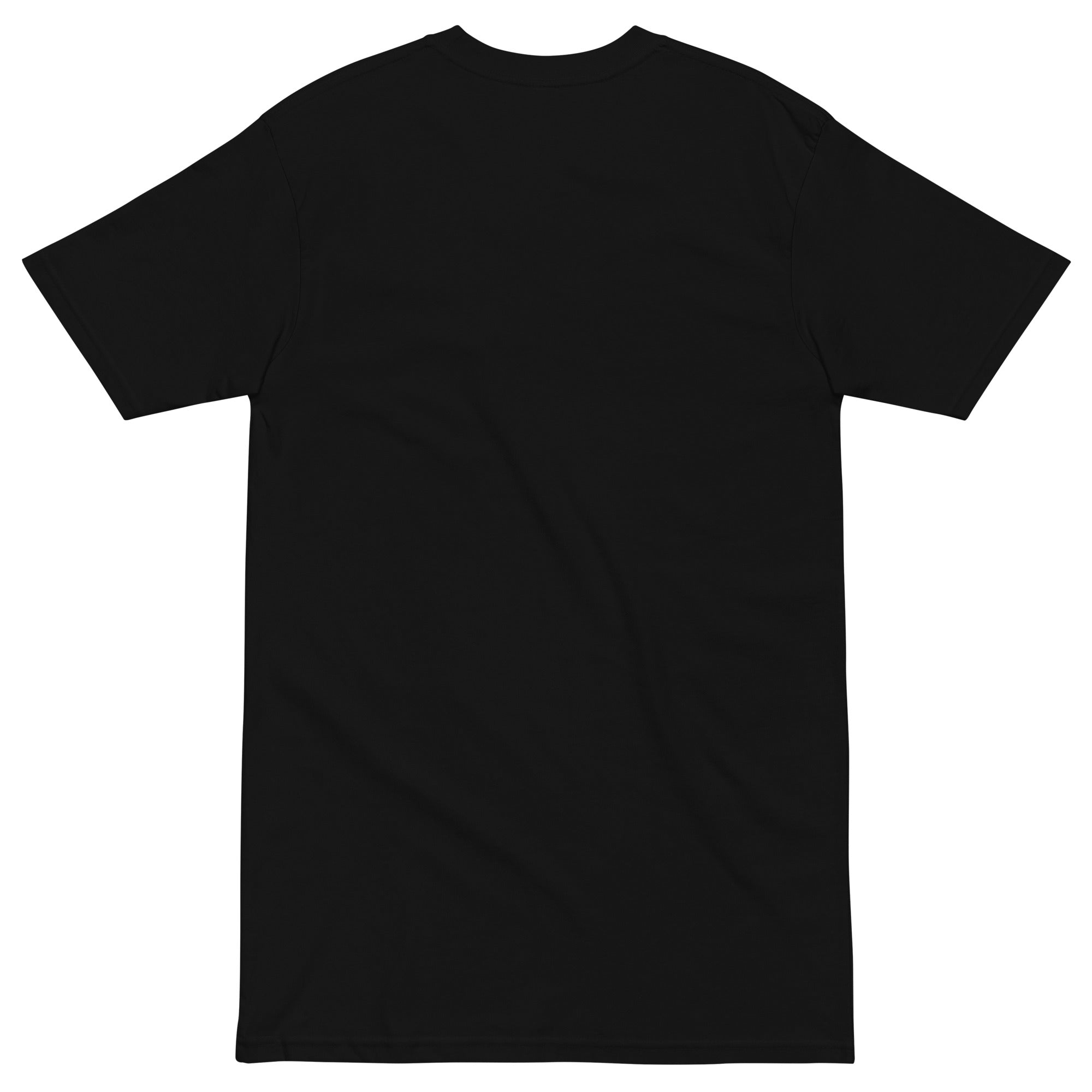 Phoenix Flame Men’s premium heavyweight tee